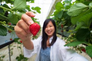 generasi strawberrry biasanya dilekatkan pada generasi z